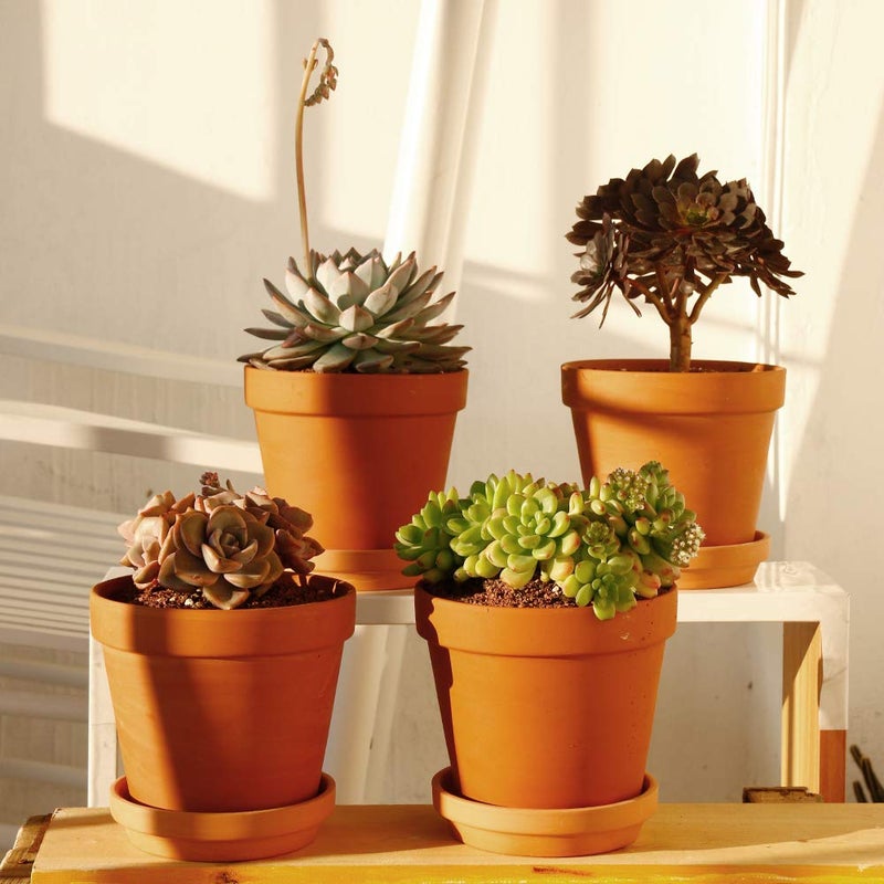 Yishang Large Terra Cotta Pots with Saucer- 4 Pack Large 6'' Terra Cotta Plant Pot with Drainage Hole, Flower Pot with Tray, Terracotta Pot for Indoor Outdoor Plant - Image 4